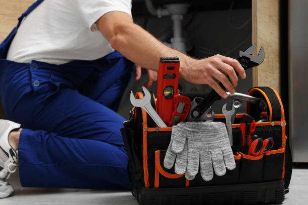 Best Commercial Plumbing Services  in Buena, NJ